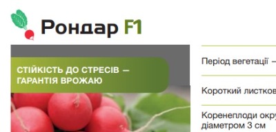 25008 Редис Рондар  F1