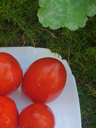 25605 Amos Coli (Амос Колі) 