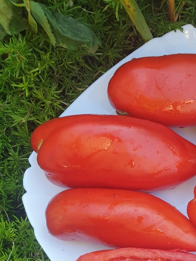 25383 Hog Heart (Серце Борова)