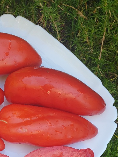 25383 Hog Heart (Серце Борова)