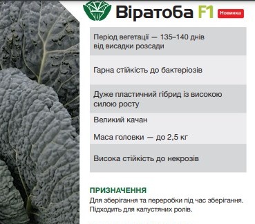 8008 Капуста Савойська Віратоба F1