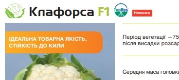8016 Капуста Цвітна біла Клафорса F1