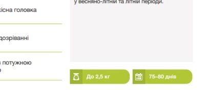 8009 Капуста цвітна біла Лекану F1
