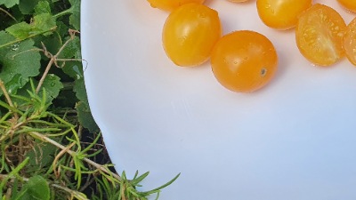25421 Моністо Янтарне