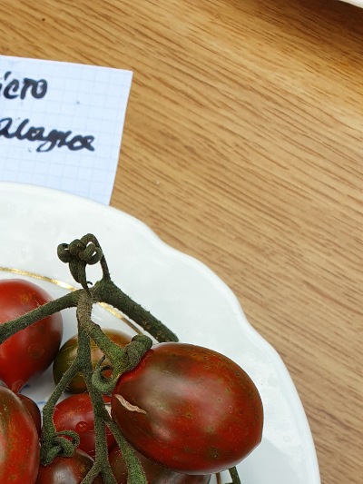 25425 Моністо Шоколадне
