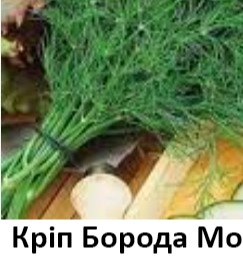 25162 Кріп  Борода Монаха 