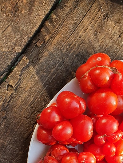 1268 Reisetomate (Подорож) 