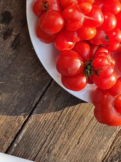 1268 Reisetomate (Подорож) 