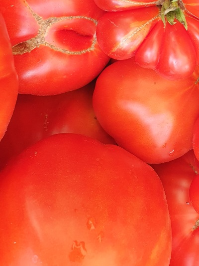 1268 Reisetomate (Подорож) 