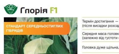 8007 Капуста Середньостигла Глорія F1
