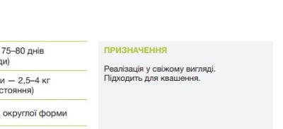 8007 Капуста Середньостигла Глорія F1
