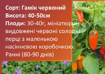 6022 Гамік червоний (солодкий) 