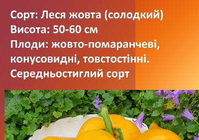 6041 Леся жовта (солодкий)