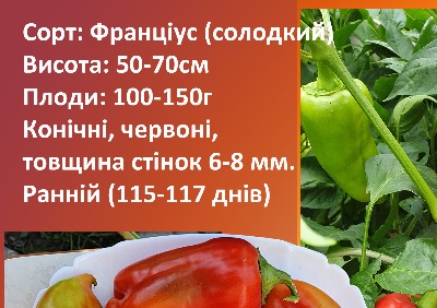 6034 Франціус (солодкий)