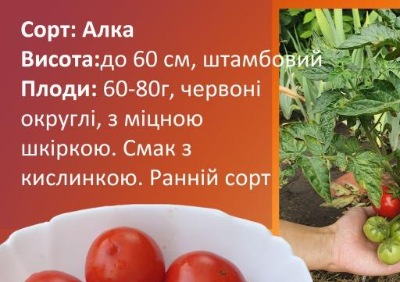 1219 Алка