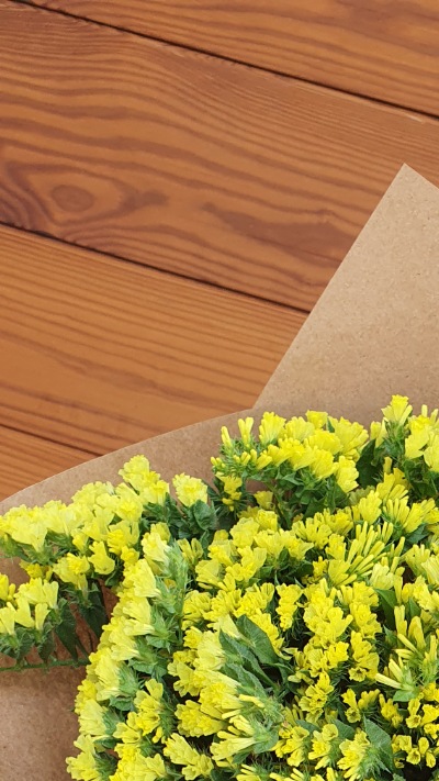 25711 Кермек Статиця Золотий берег