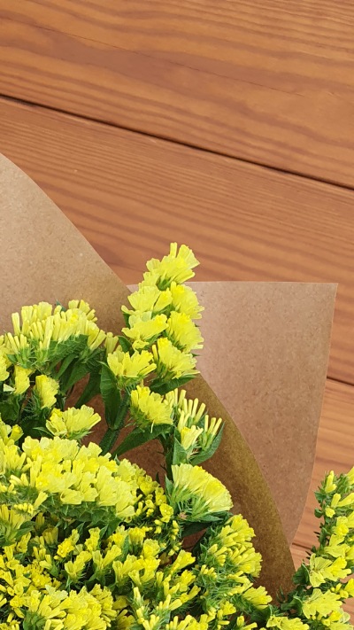 25711 Кермек Статиця Золотий берег