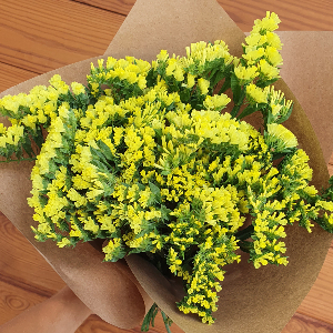 category.an.dried_flowers_prof Кермек Статиця Золотий берег