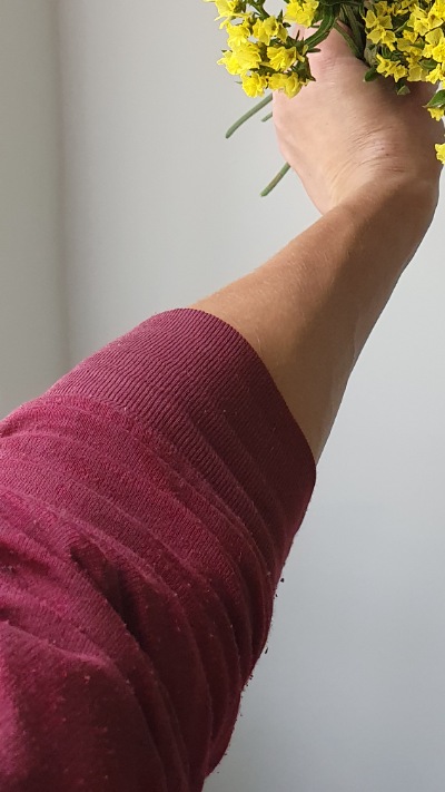 25712 Кермек Статиця Квіс Жовта Qis Yellow