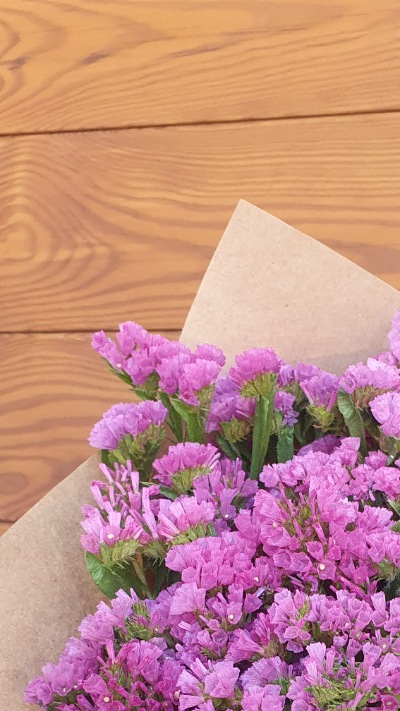 25713 Кермек Статиця Квіс Рожева Qis Rose