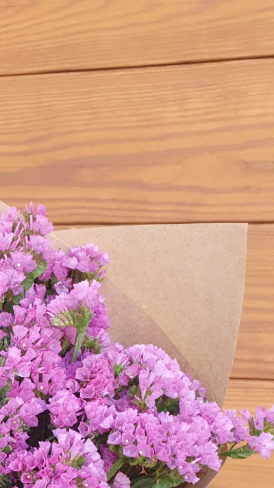 25713 Кермек Статиця Квіс Рожева Qis Rose