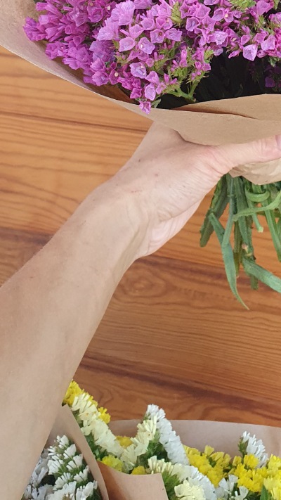 25713 Кермек Статиця Квіс Рожева Qis Rose