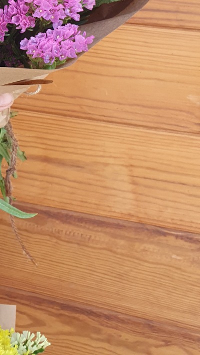 25713 Кермек Статиця Квіс Рожева Qis Rose