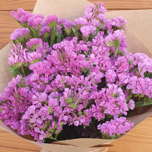 category.an.dried_flowers_prof Кермек Статиця Квіс Рожева Qis Rose