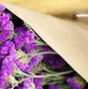 25716 Кермек Статиця Пурпуровий атракціон