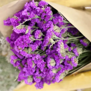 category.an.dried_flowers_prof Кермек Статиця Пурпуровий атракціон