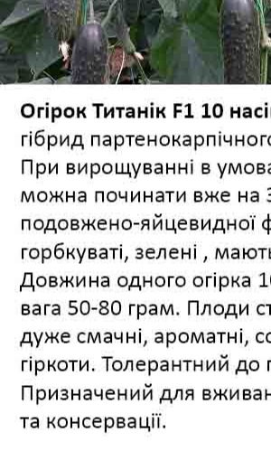 25086 Огірок Титанік F1 