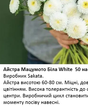 25233 Айстра Мацумото Біла 