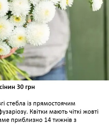 25233 Айстра Мацумото Біла 