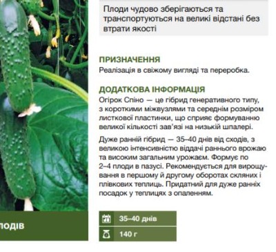 25082 Огірок Спіно F1 