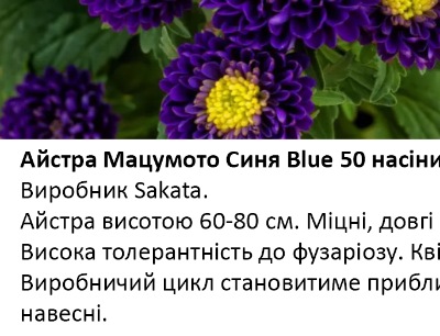 25236 Айстра Мацумото Синя Blue 