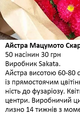 25229 Айстра Мацумото Скарлет Scarlet  