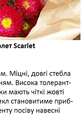 25229 Айстра Мацумото Скарлет Scarlet  