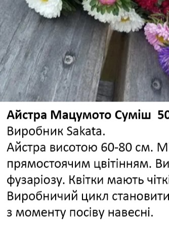 25237 Айстра Мацумото Суміш  