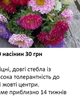 25237 Айстра Мацумото Суміш  