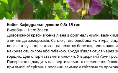 25219 Кобея Кафедральні дзвони 