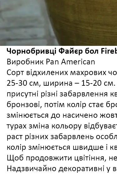 25227 Чорнобривці -хамелеон Файєр бол  Fireball
