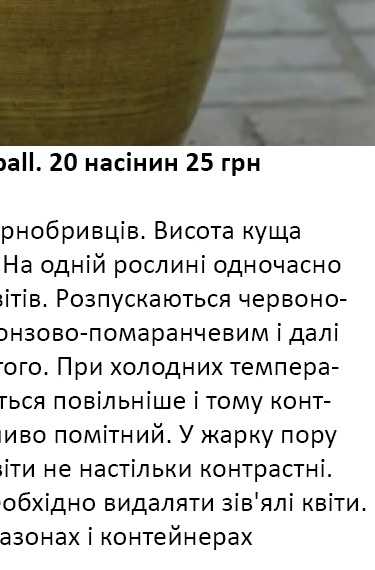 25227 Чорнобривці -хамелеон Файєр бол  Fireball