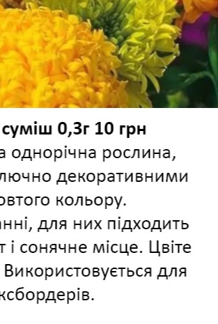 25226 Чорнобривці Фантастік суміш 