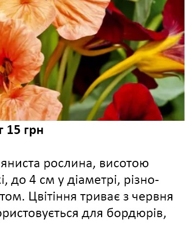 25220 Настурція (Красоля) махрова Везувій 