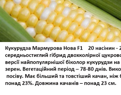 25238 Кукурудза Мармурова нова F1 