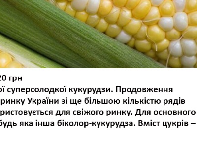 25238 Кукурудза Мармурова нова F1 