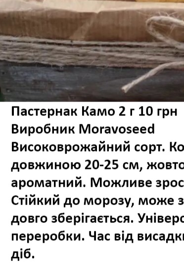 25240 Пастернак Камо 