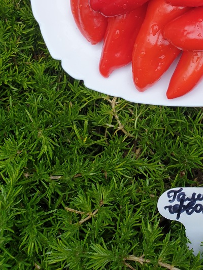 6022 Гамік червоний (солодкий) 