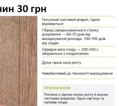 25188 Помідор Хапінет F1 