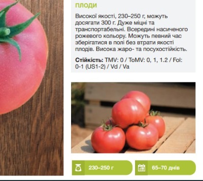 25188 Помідор Хапінет F1 